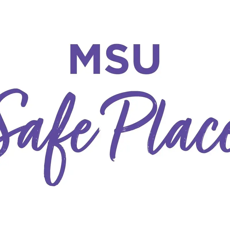 MSU's domestic violence program expands through new grant