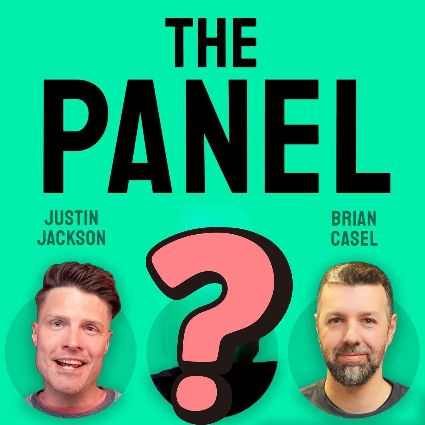 The Panel