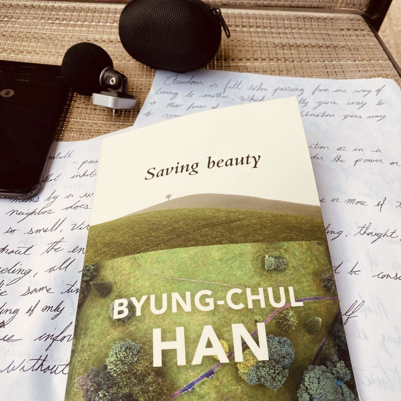 The Pornographic Uninterrupted Presence of the Visable