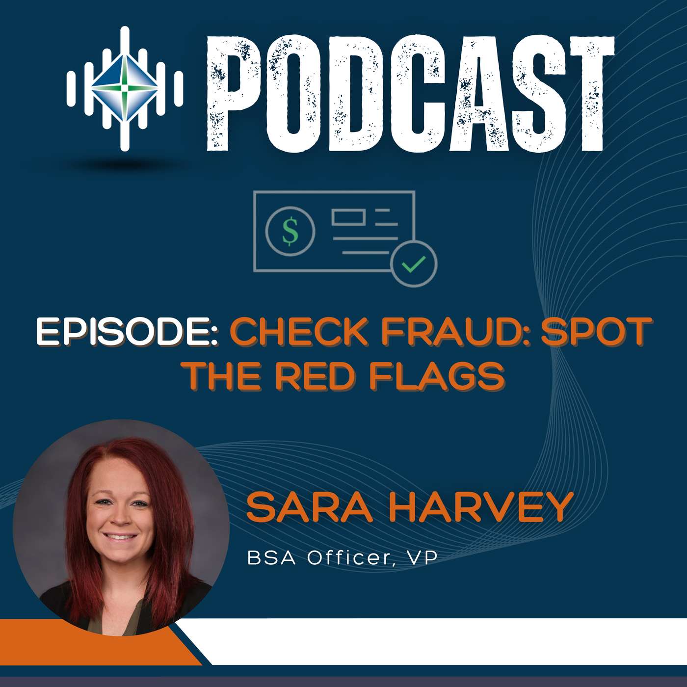 Check Fraud: Spot the Red Flags episode artwork
