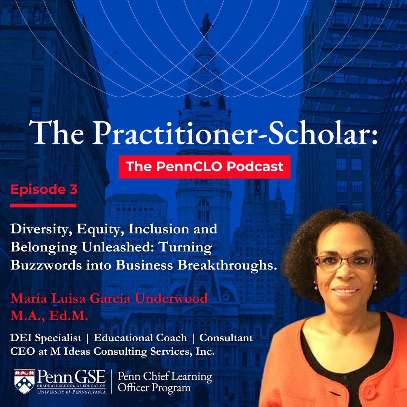 Diversity, Equity, Inclusion and Belonging Unleashed: Turning Buzzwords into Business Breakthroughs