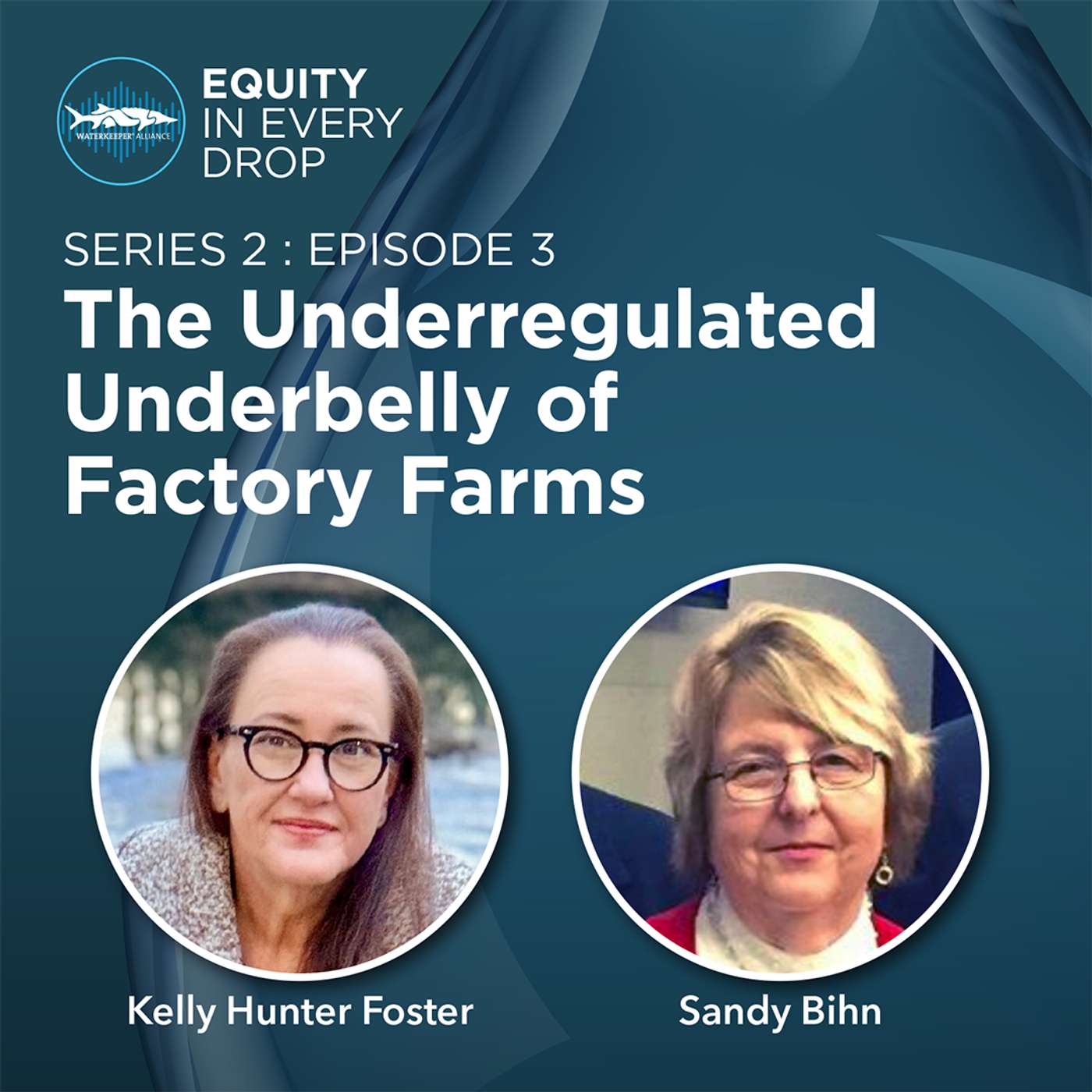The Underregulated Underbelly of Factory Farms