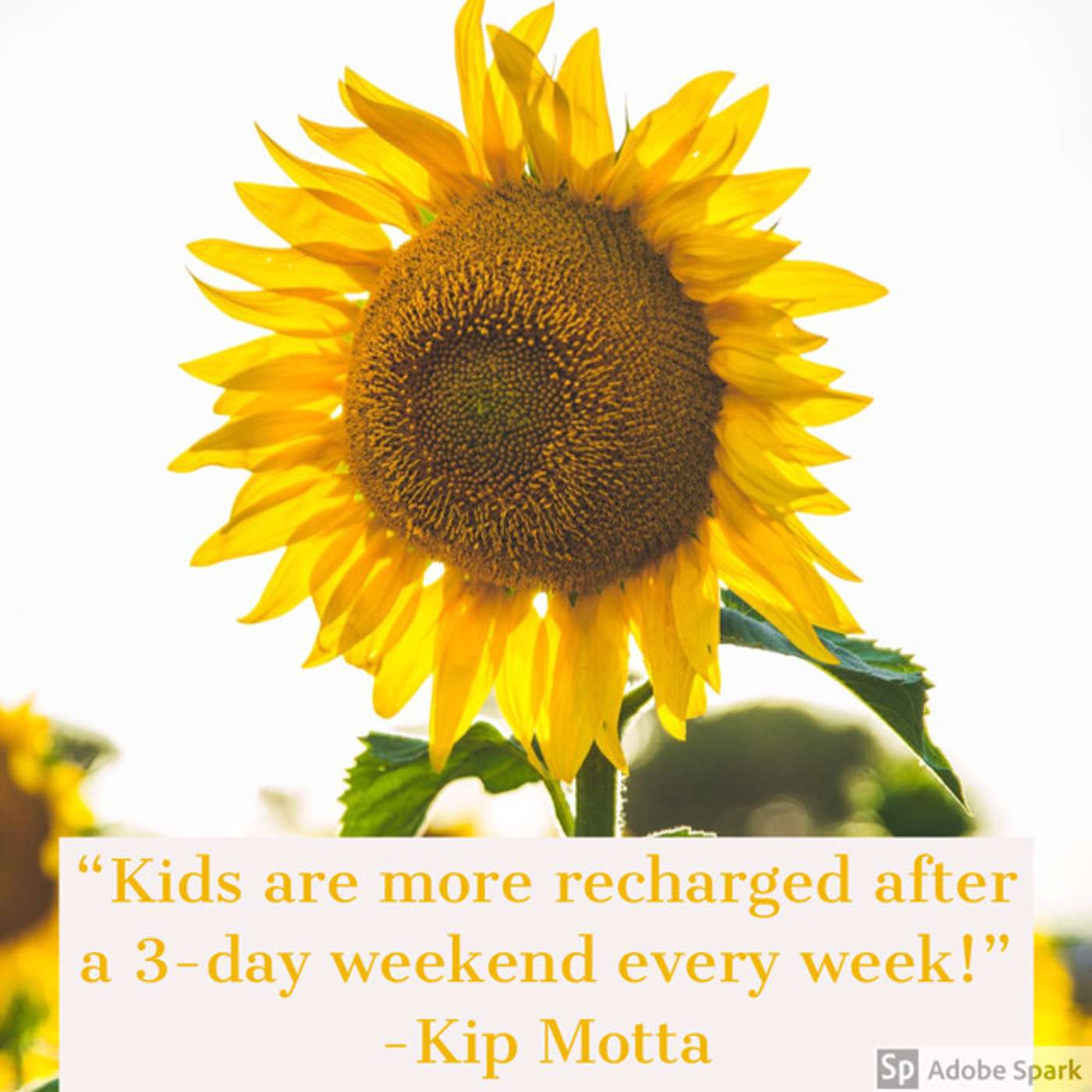 Transformative Principal