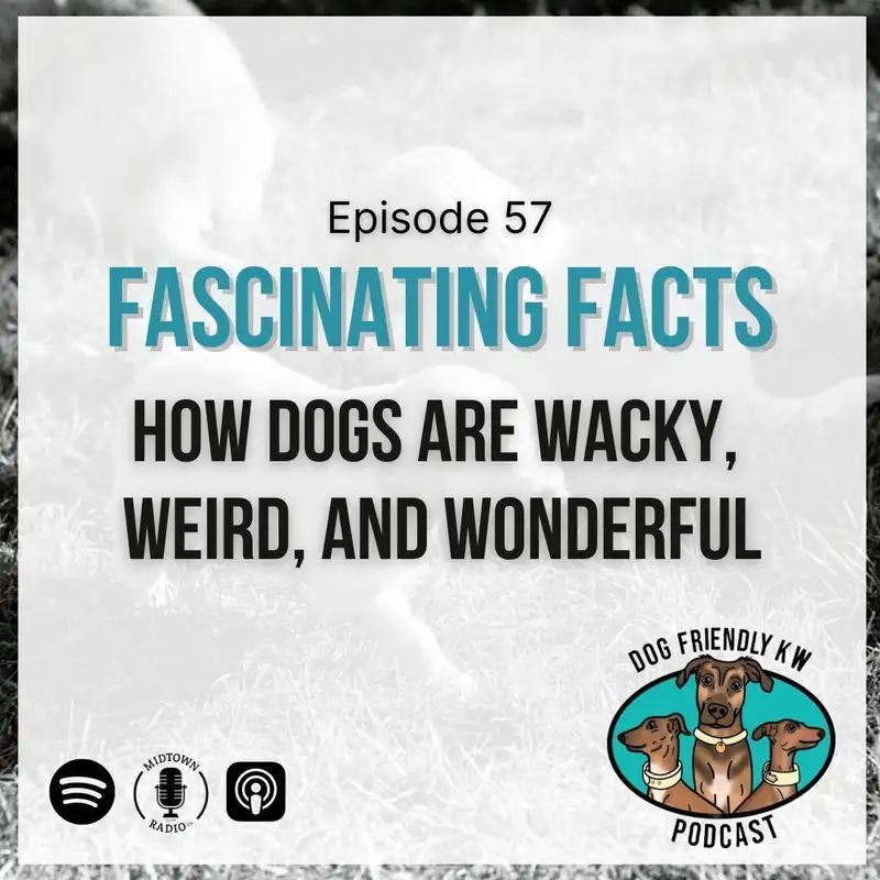 Full Episode: Justine and Kenz's FASCINATING FACTS About Dogs
