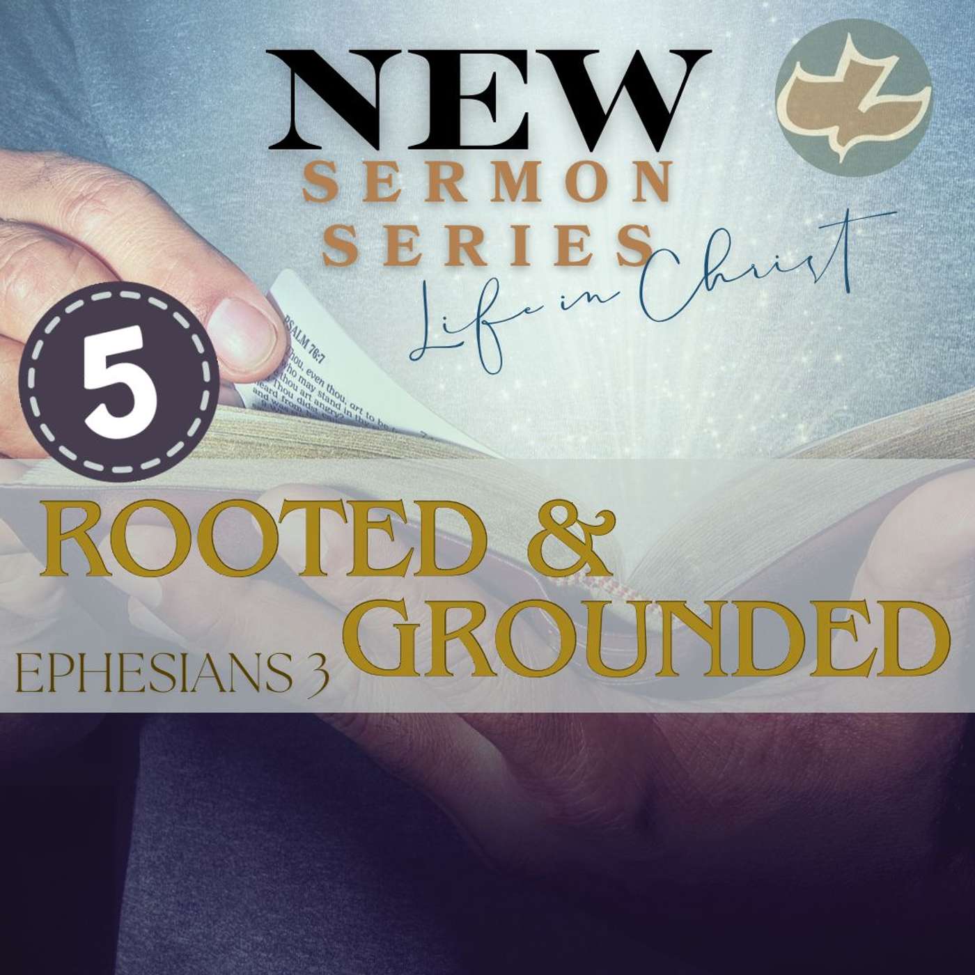 Rooted & Grounded