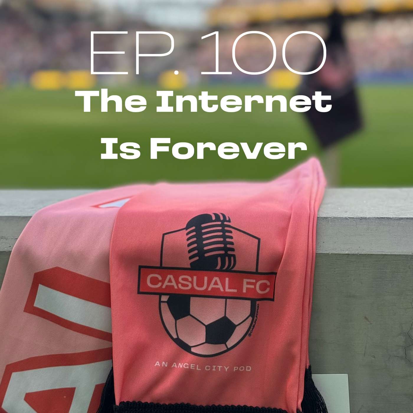 Ep 100: The internet is forever