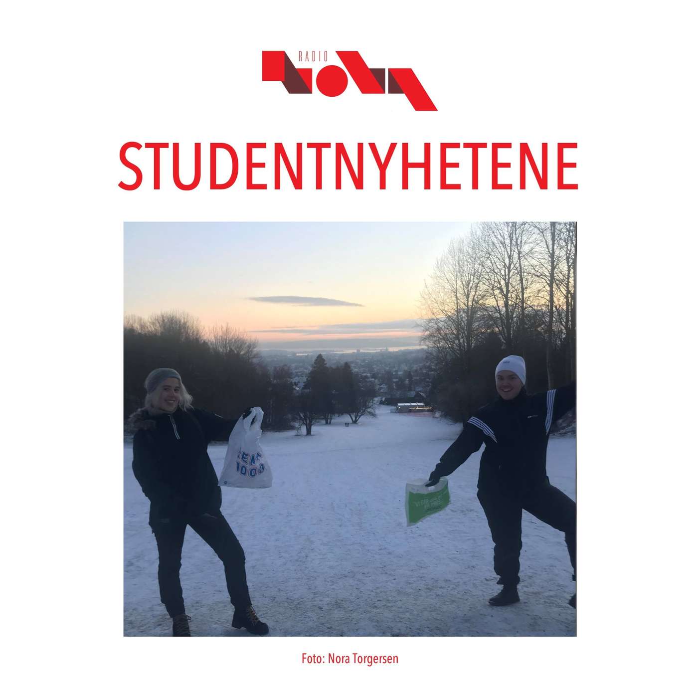Nyttårsforsetter// Utveksling i 2021 // Støtte fra Lånekassen //Test av brettspill episode artwork