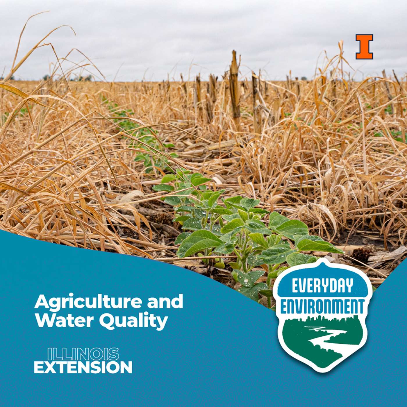 Everyday Environment Podcast