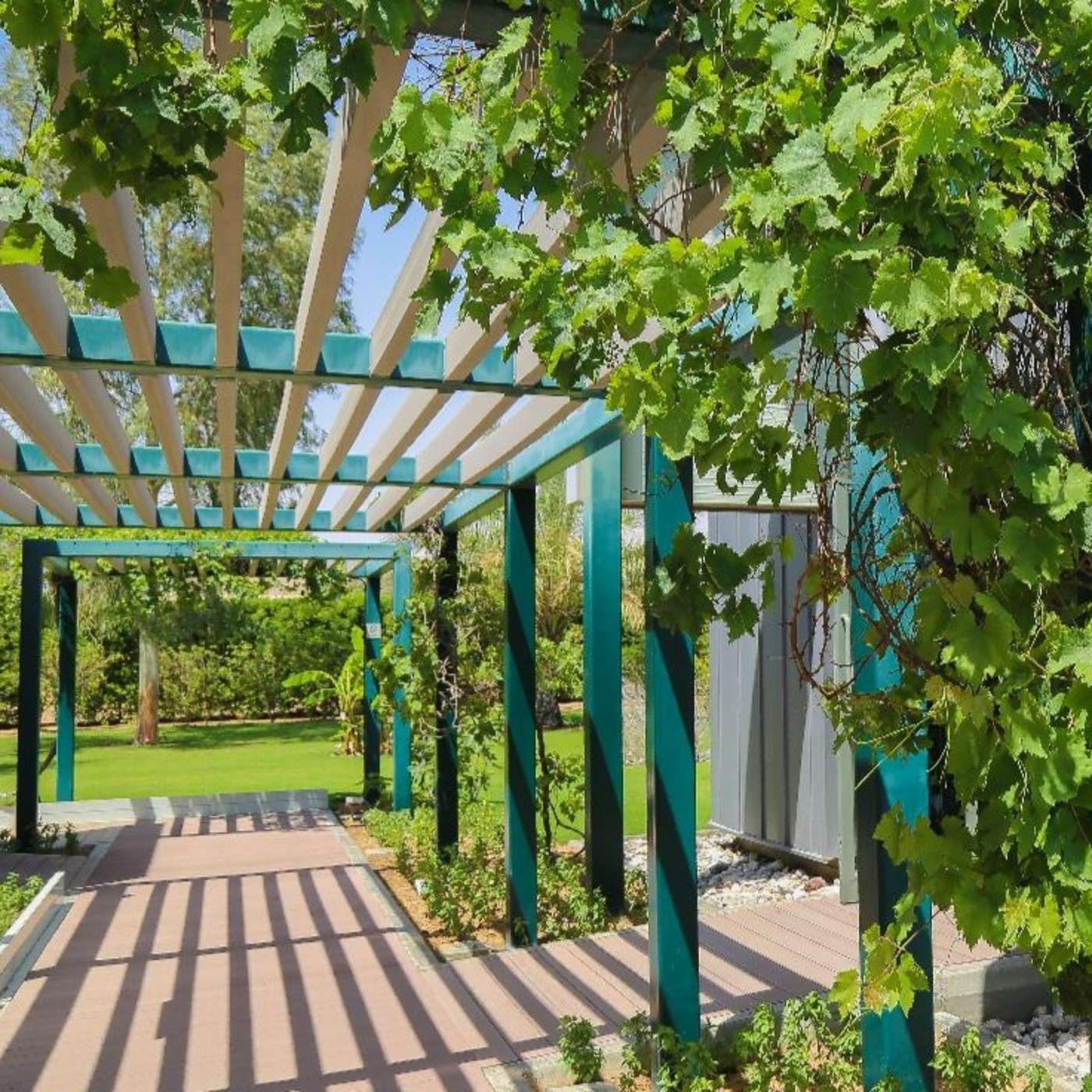 Sharjah's Islamic Botanical Garden (05.08.20)