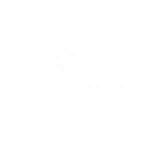 Liderar - De ser un grupo a ser un Equipo