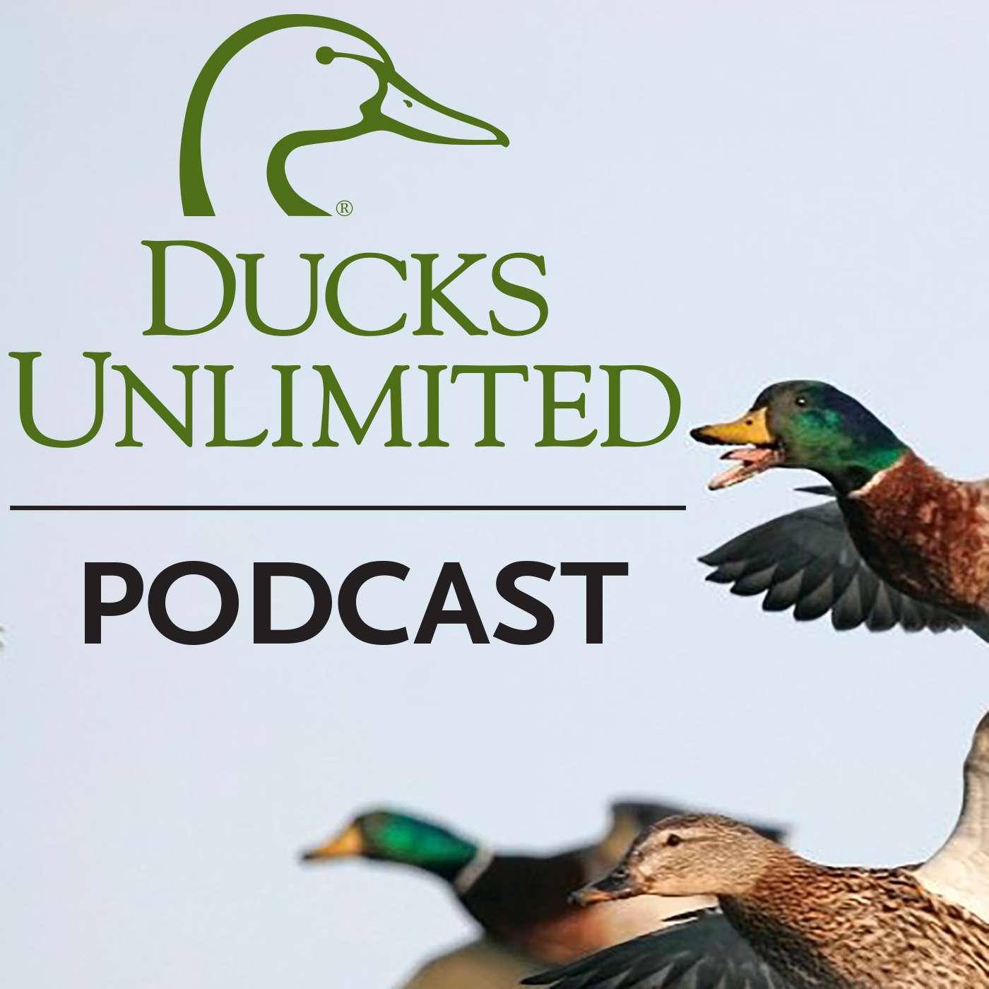 Ep. 36 - (Bonus) Migration Alert: Hunting and Habitat Update for Illinois
