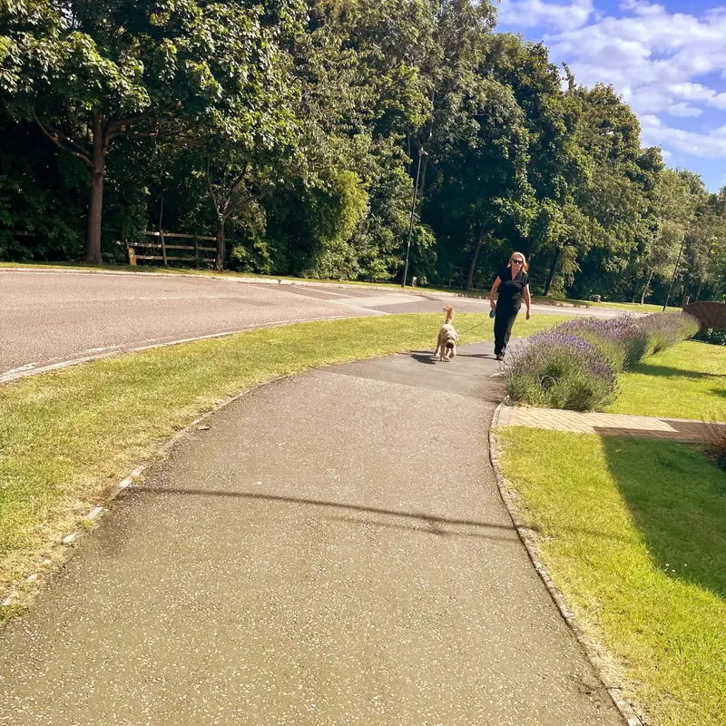 Getting back into the groove