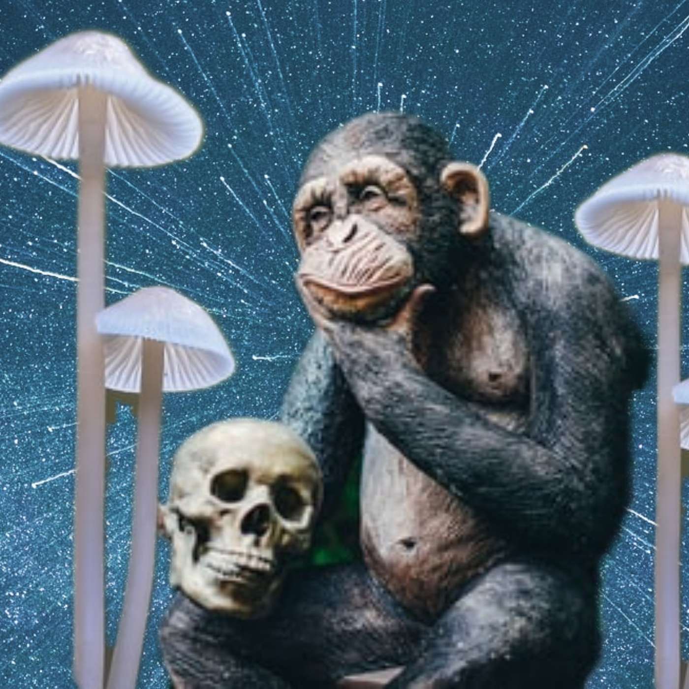 Panspermia & The Stoned Ape Theory