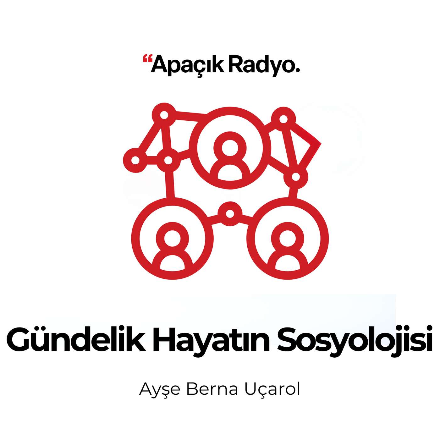 Dinamikleri ve Taraflarıyla Linç