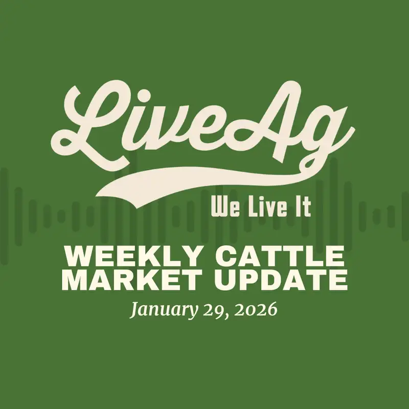 Weekly Cattle Market Update: Weather, Feeders & What the CME Index Is Telling Us
