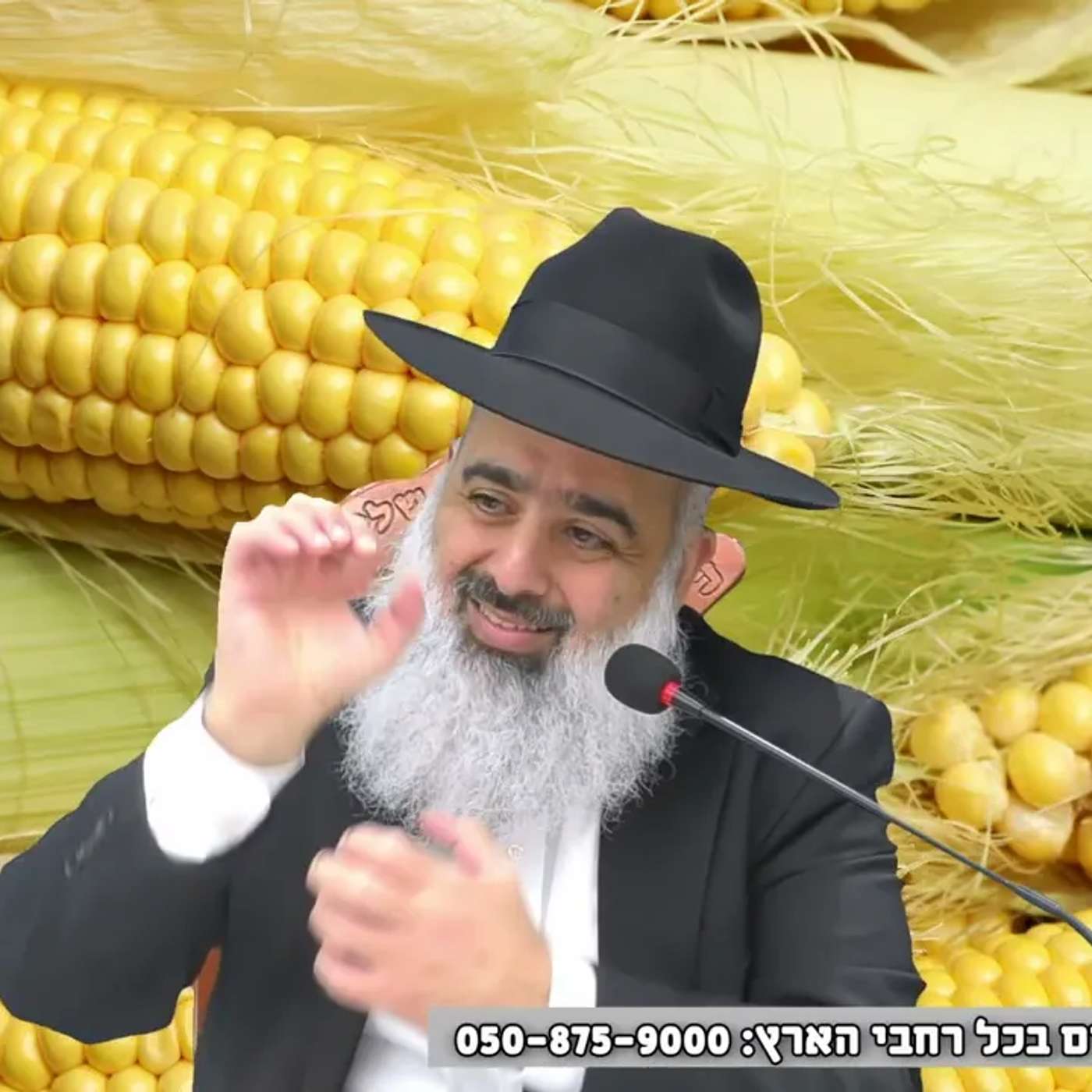 6 שנים לא זכו לילדים והתברר להם שהבעיה היא באקסית של הבעל שמרוב עצבים "הקפידה" עליהם 💔 פגיעה זה אש🔥🔥 episode artwork