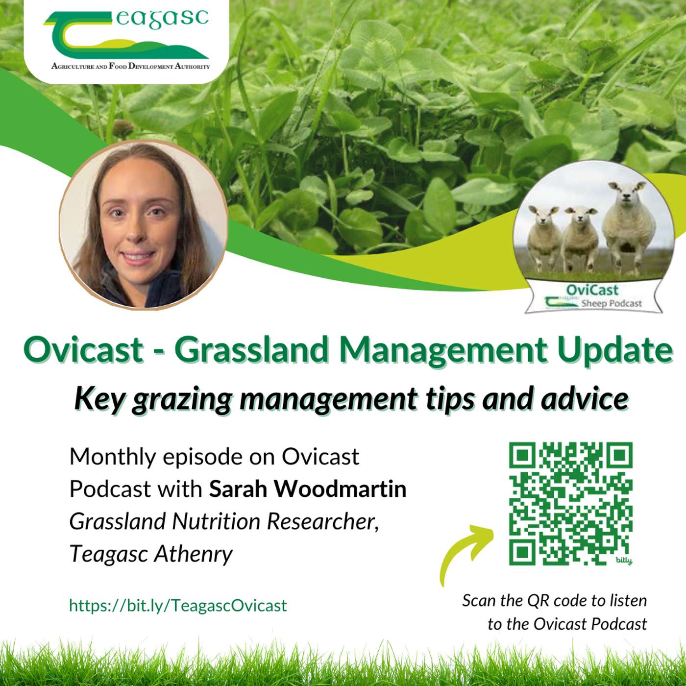 October Grass Update