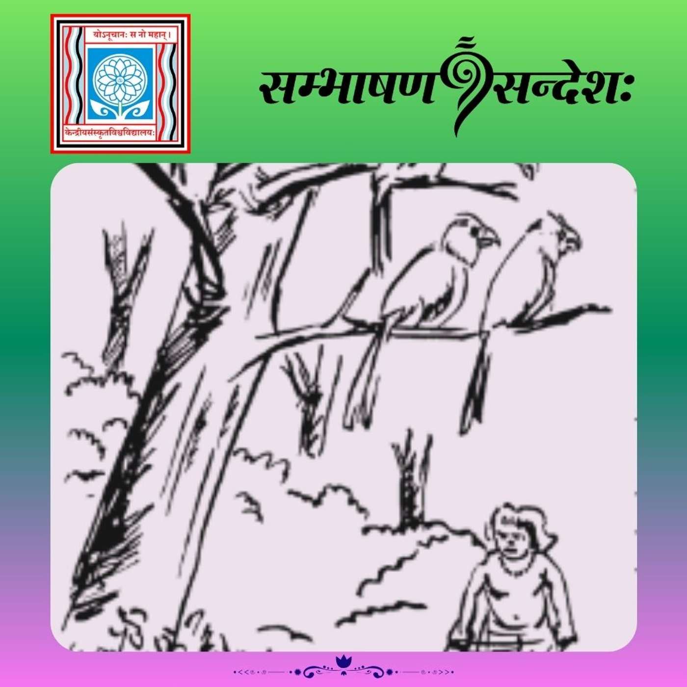 सुविचार्य हि कर्तव्यम्