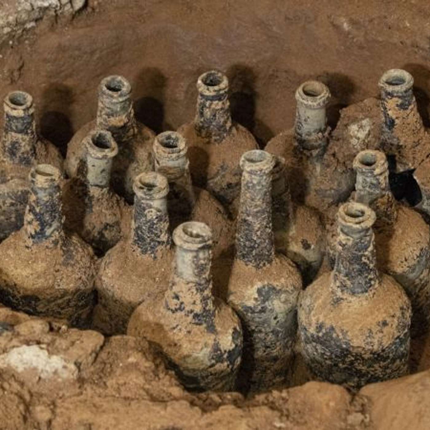 Stanford study unveils depression biotypes, Ancient Fruit Bottles Unearthed, Rediscovering 'Lost' Bird Species, AI Doubles Cancer Relapse Time, and more...