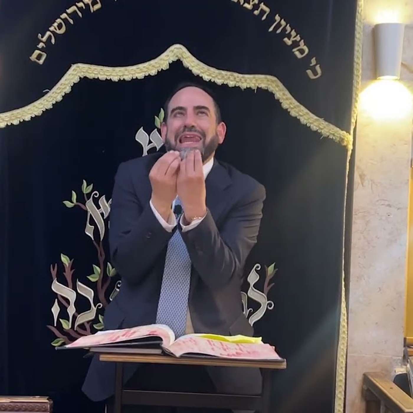 הרב מאיר פנחסי ● פרשת כִּי תֵצֵא ● איפה הראש שלך עסוק?! episode artwork