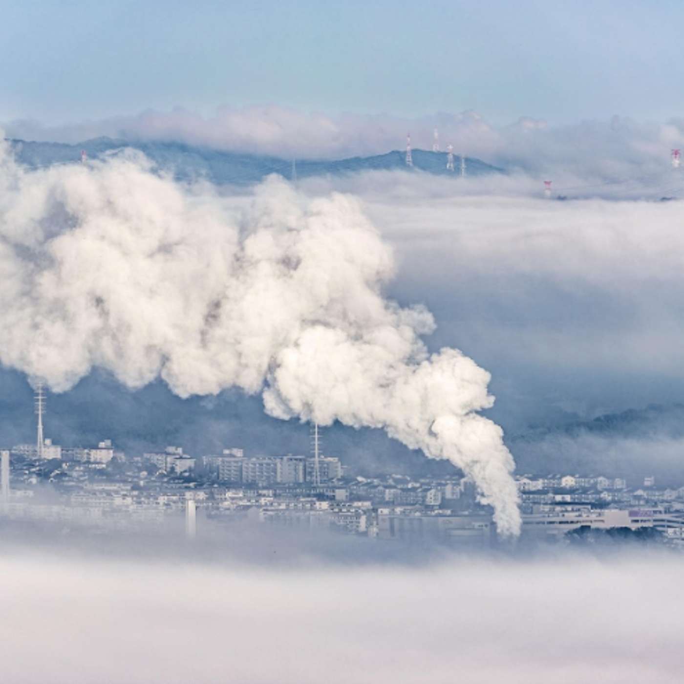 How Carbon Assessments Benefit Businesses
