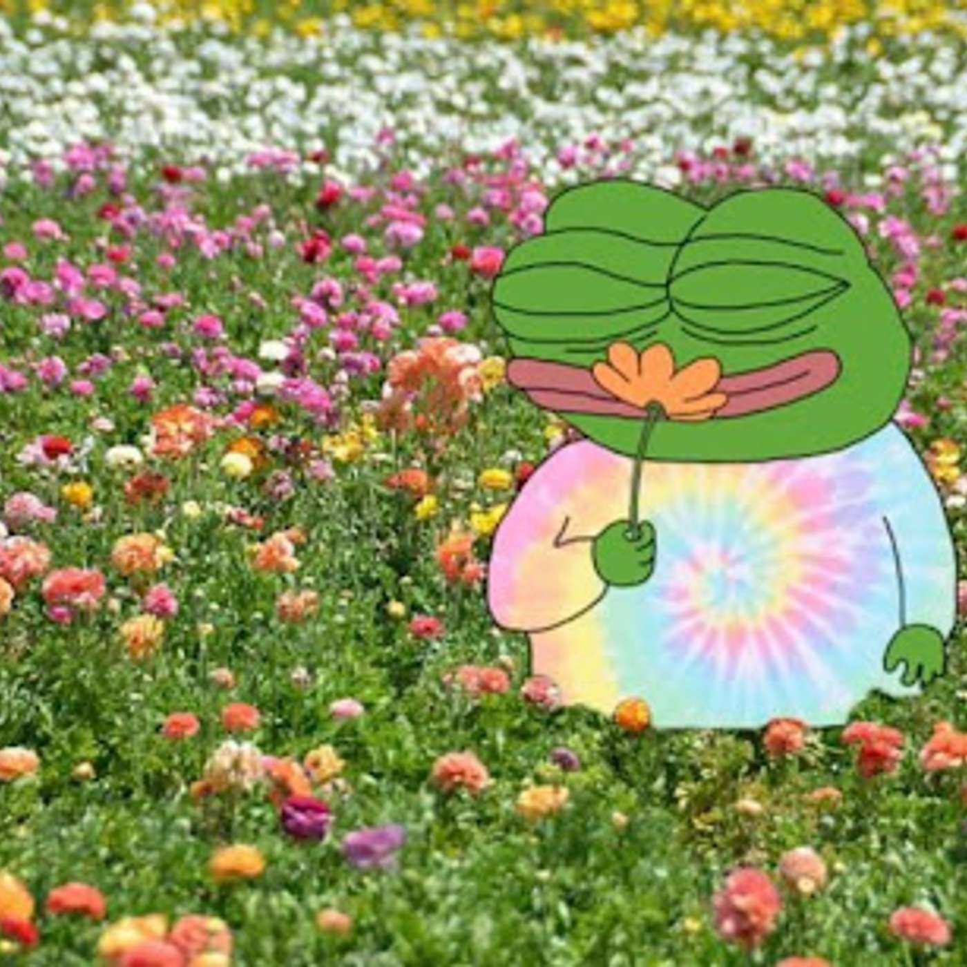 Web3 Tech Brief By HackerNoon