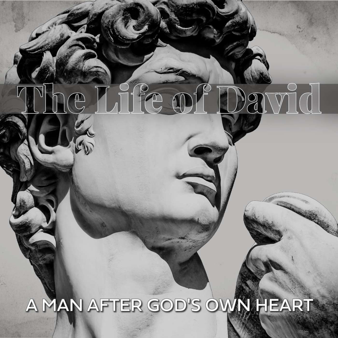 The Life of David | Taking the High Road | Samuel 24:1-22 episode artwork