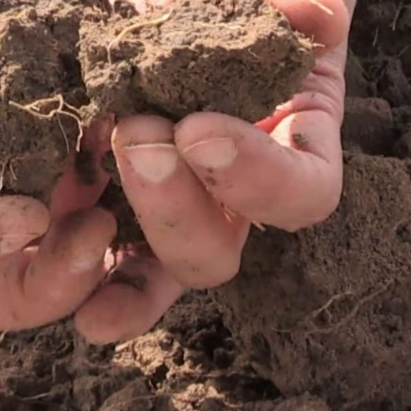 Soil First: Planning Your Nutrient Strategy for 2026 Soil First: Planning Your Nutrient Strategy for 2026