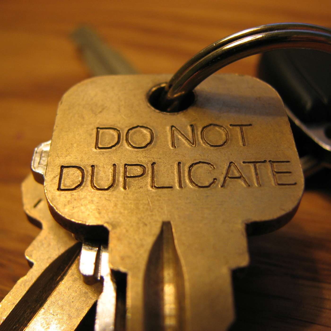 Duplicating Our Past - Pt. 2 episode artwork