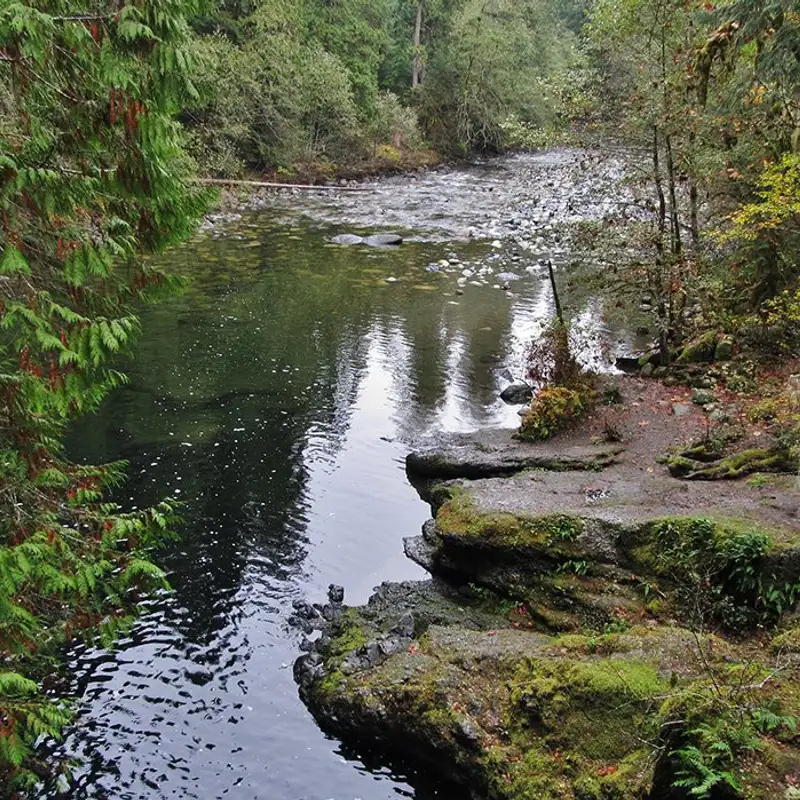 Parksville council defers motion for multi-unit development bylaw amendment for Englishman River