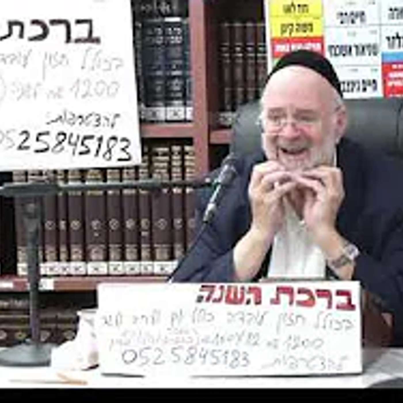 הרב ברוך רוזנבלום :  ארבעת המינים - מדרשי חז"ל .