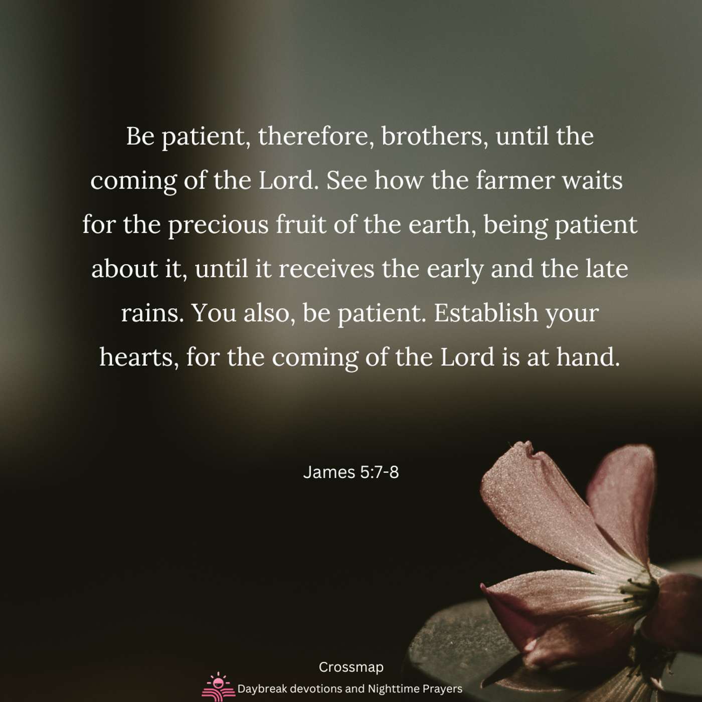 The Fruit of Patience in a Winter Season - A Nighttime Prayer