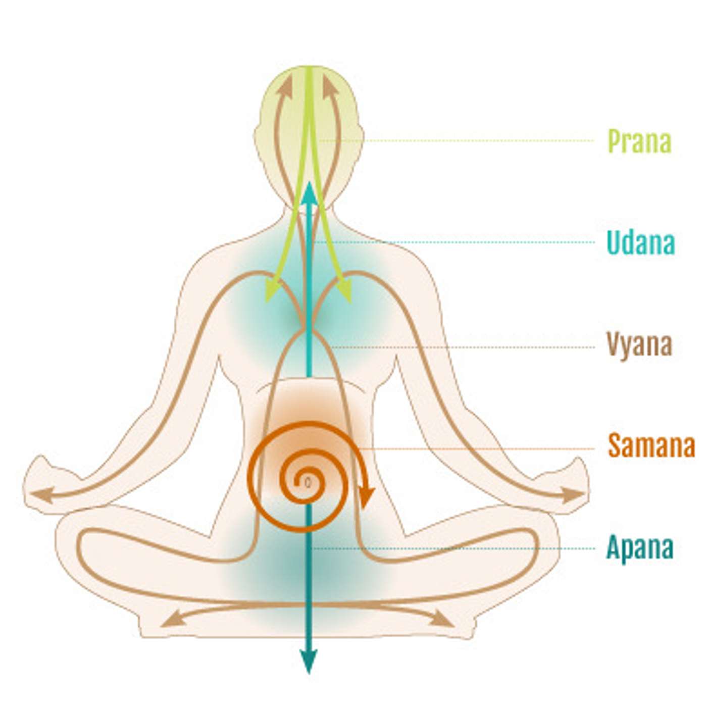 Yoga Connection With Zorananda