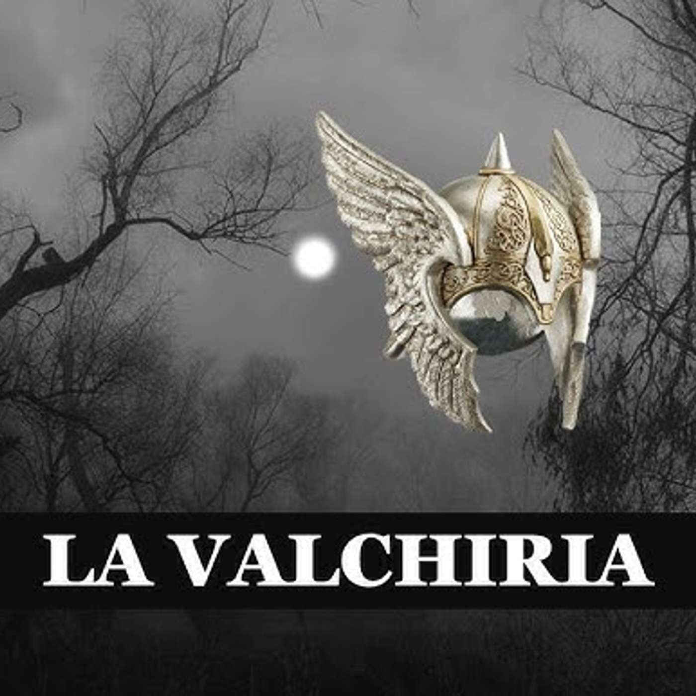 L'opera 272 - R. Wagner - La Walkiria