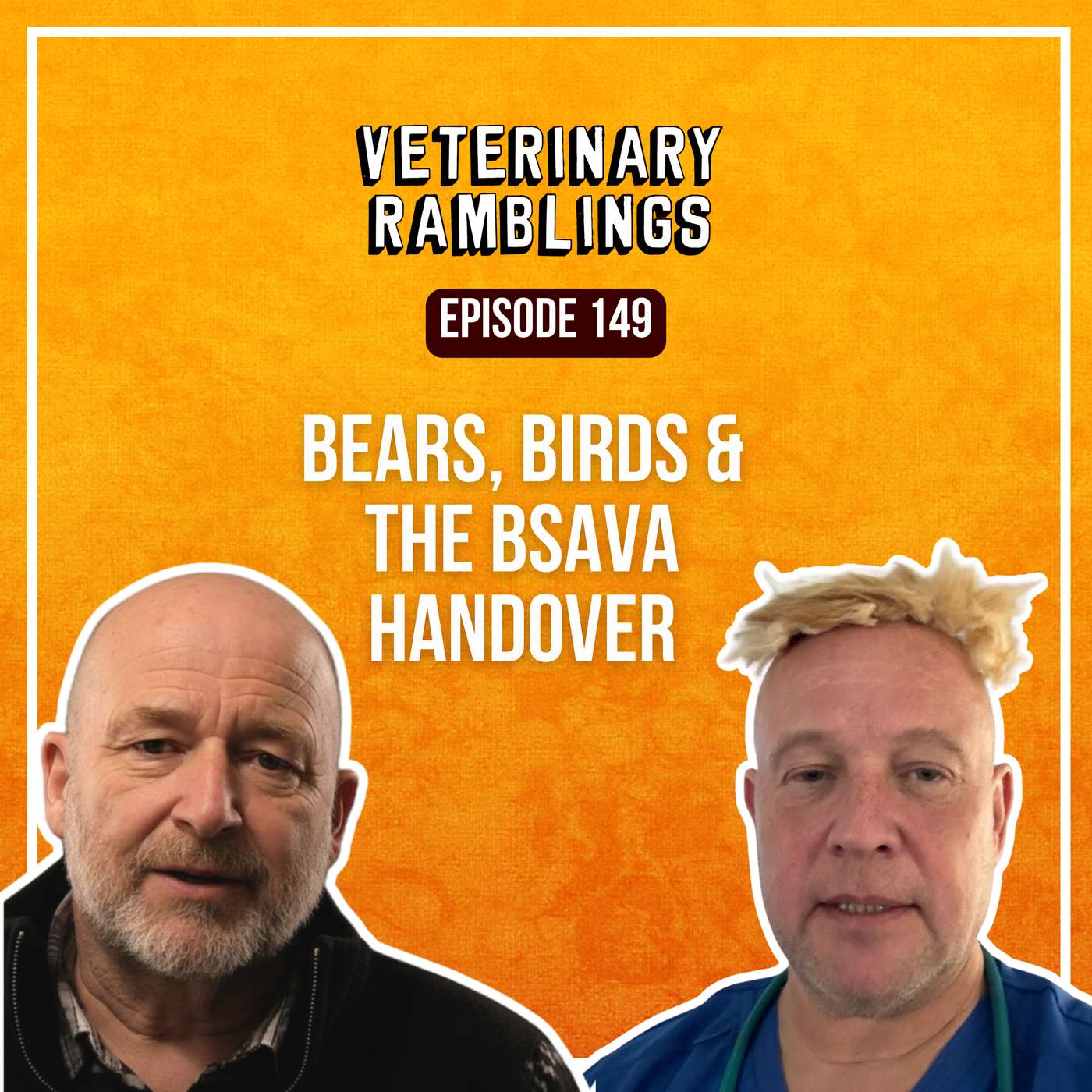 Bears, Birds & the BSAVA Handover — Veterinary Ramblings cover