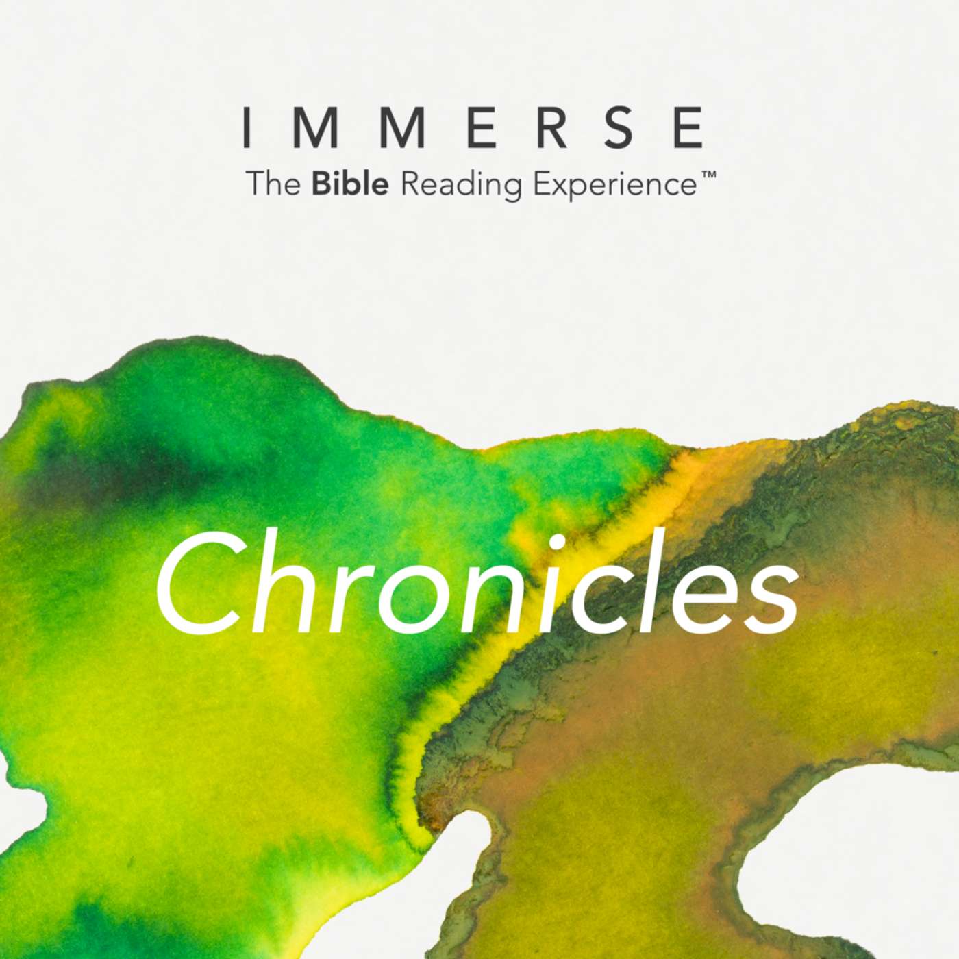 Immerse Chronicles Day 340 Year 2 Bible Reading