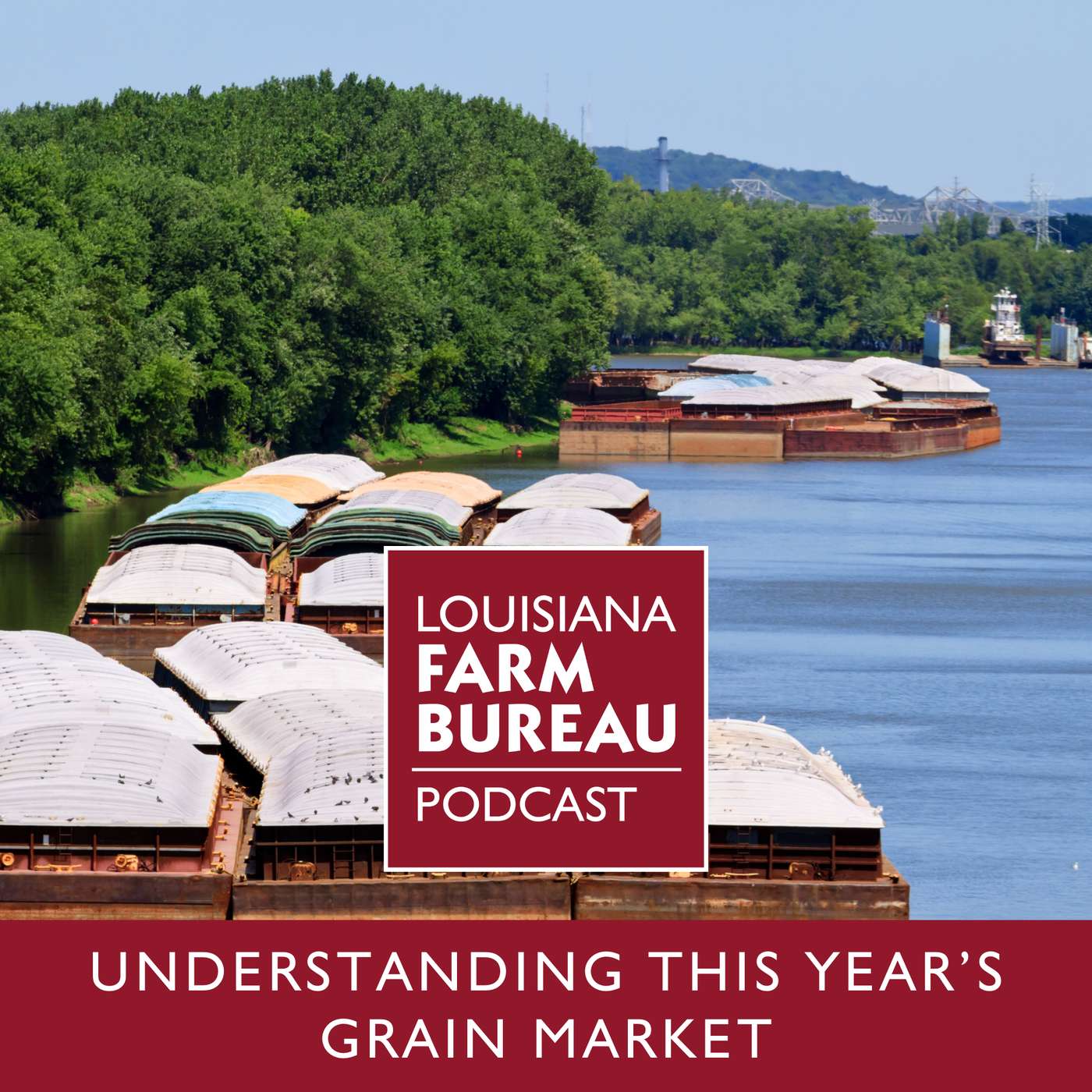 Understanding The 2024 Grain Markets episode artwork