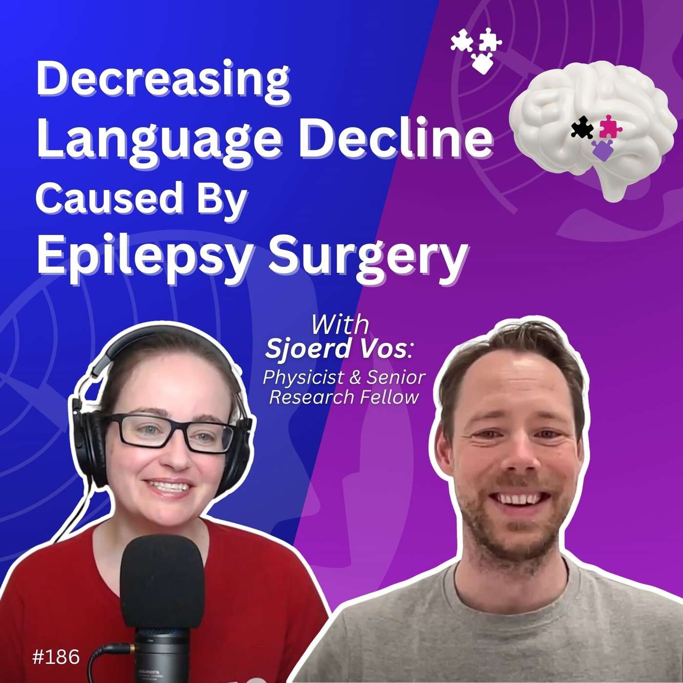 Decreasing Language Decline Caused by Epilepsy Surgery - Sjoerd Vos episode artwork