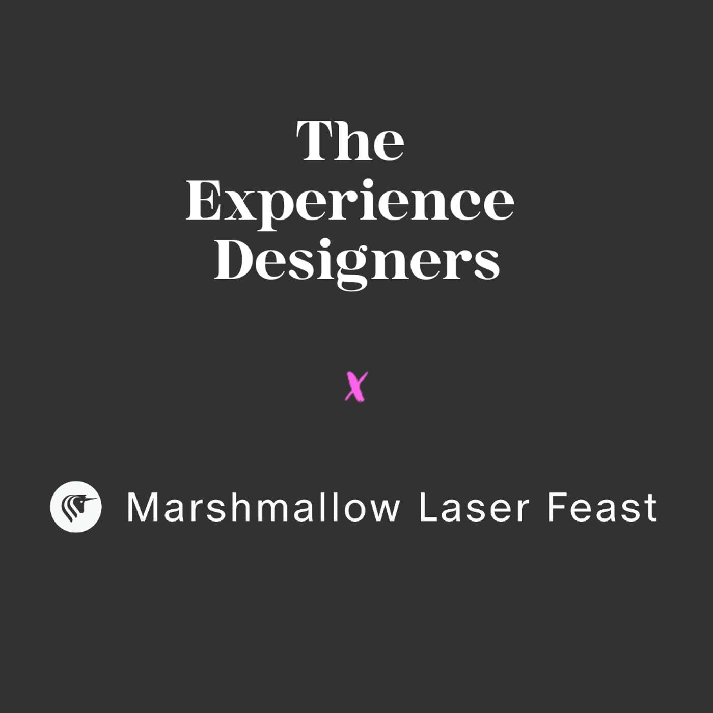 The Experience Designers