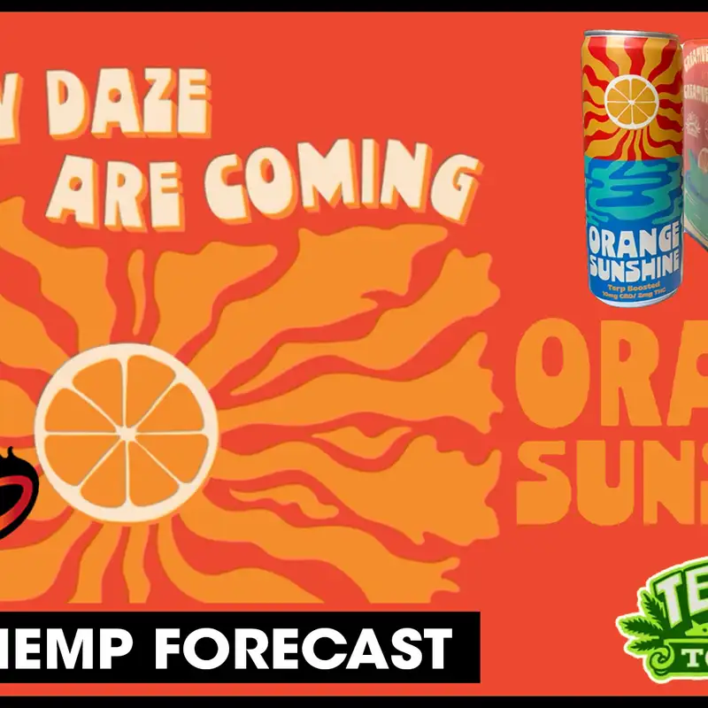 Texas Hemp Forecast - Orange Sunshine 