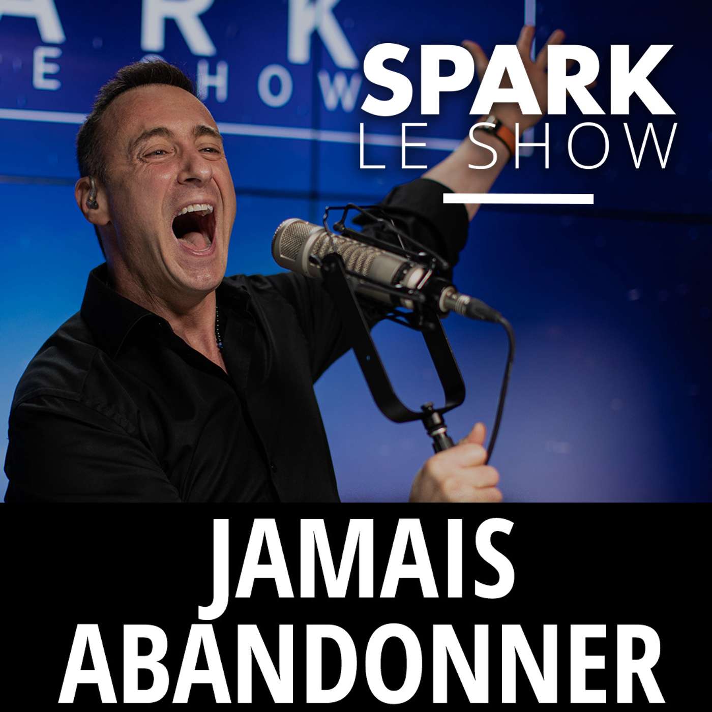 SPARK LE SHOW : Si proche du but ... episode artwork