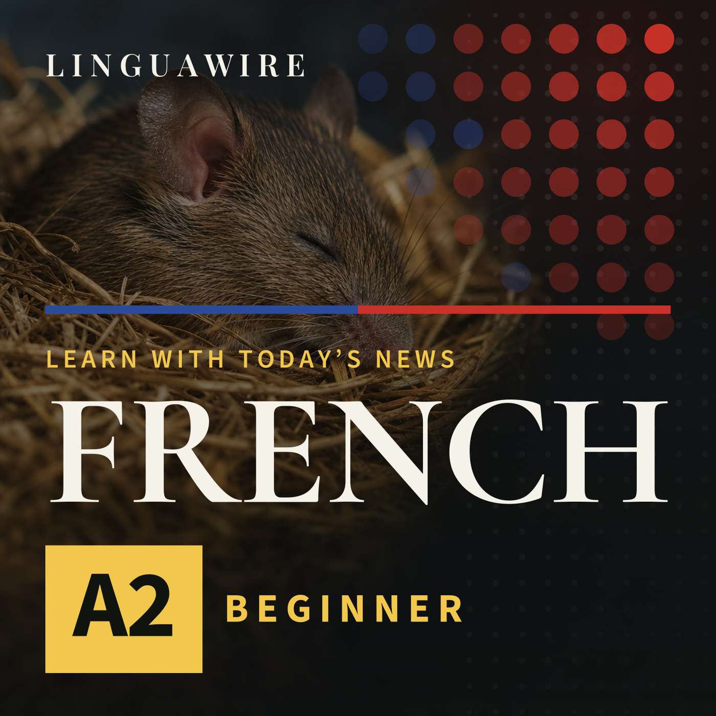 A2 French News | Mice Lose Synapses but Keep Their Memories