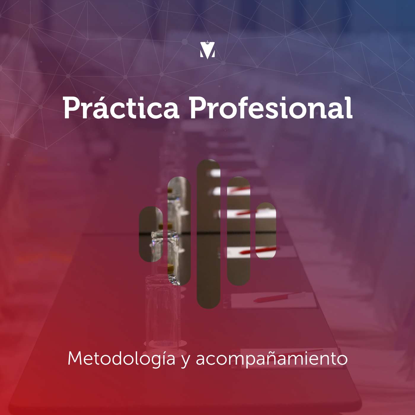 2 - PRÁCTICA PROFESIONAL: Metodología y acompañamiento episode artwork