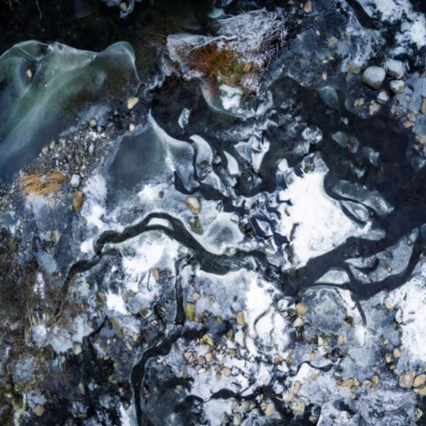 The Ten Thousand Things