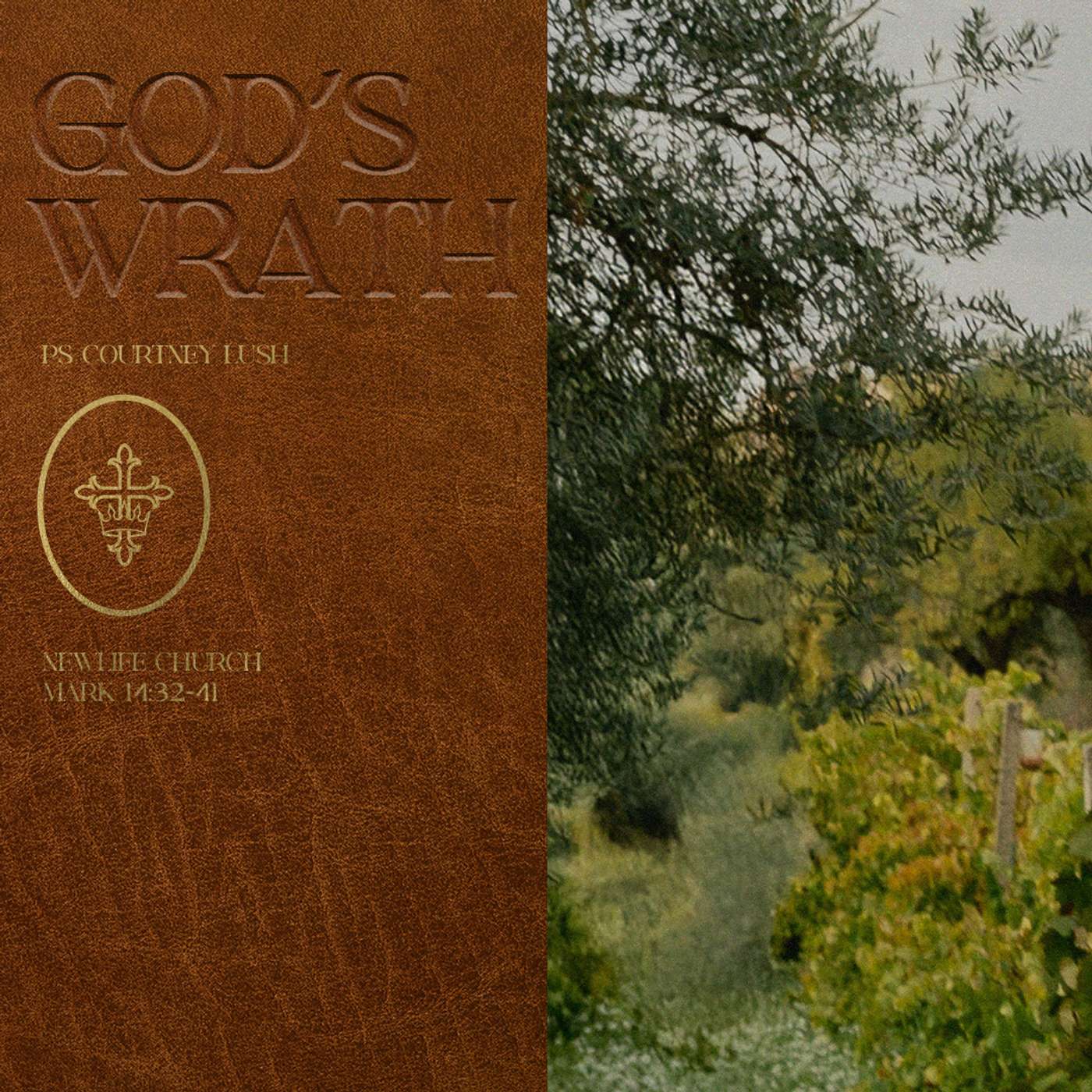 Mark: God's Wrath (14:32-41) episode artwork