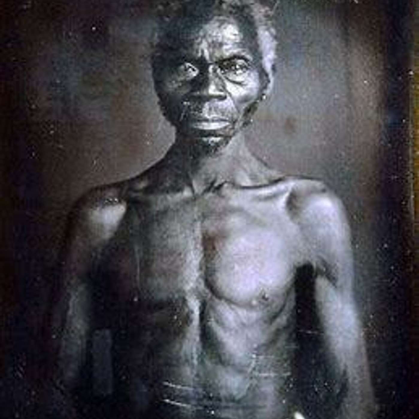 The Last Negroes at Harvard