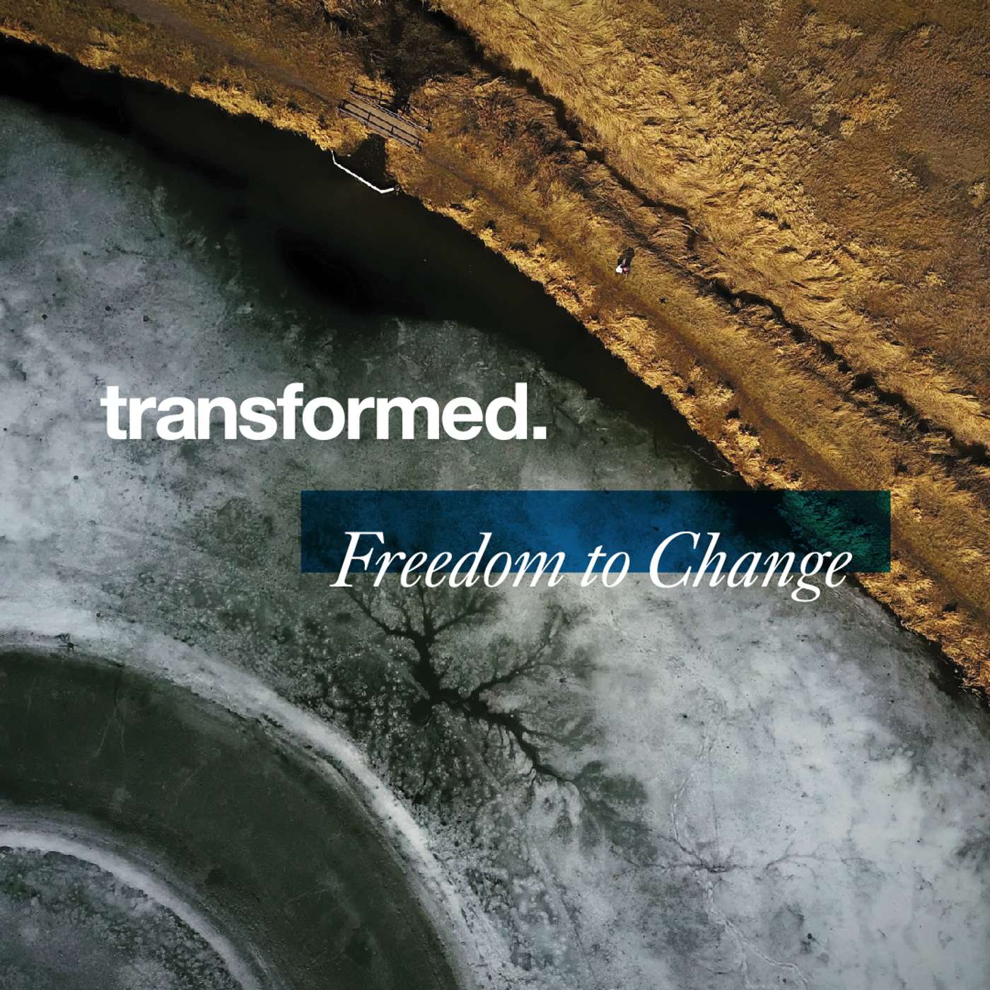 Freedom to Change - Too Much Money
