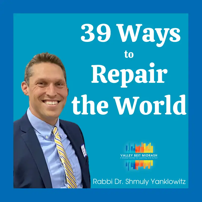39 Ways to Repair the World: Toveh (Spinning)