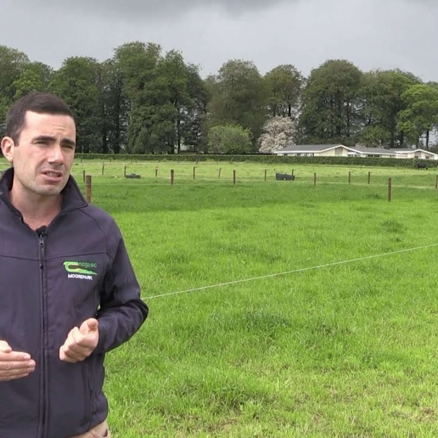 How to increase your grass cover if behind target