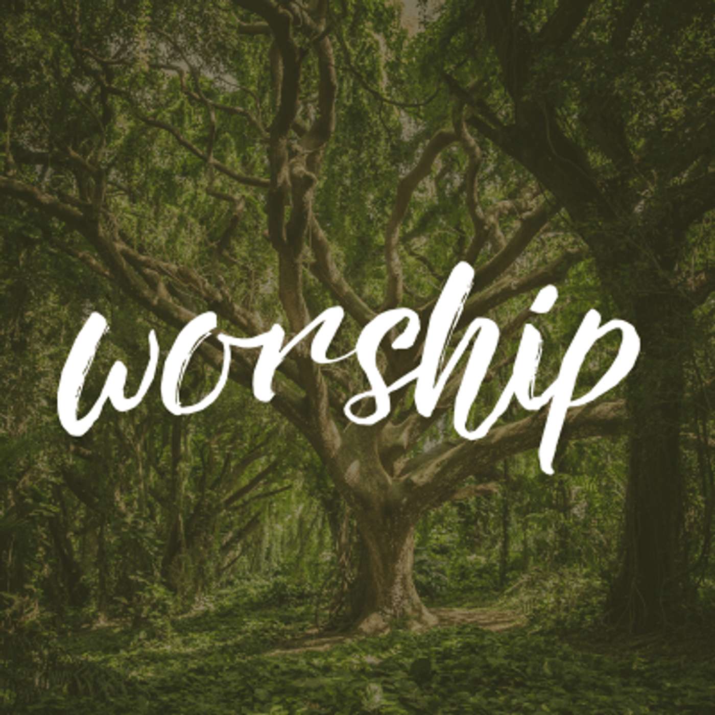 Elm City Vineyard Church Talks